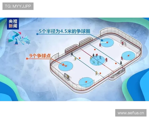 争球规则详解:何时使用?如何执行? 争球规则详解:何时使用?如何执行?